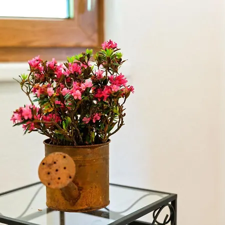 Apartmán In Hollerbach Near Kitzbuehel Lift